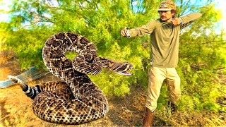 Slingshot Rattlesnake Hunt