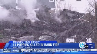 14 puppies killed in Fabius barn fire
