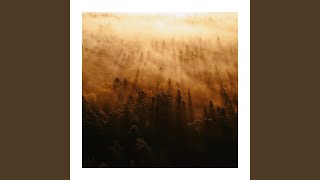 Forest Spirits