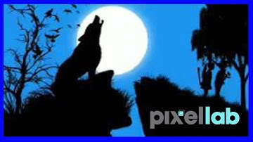 Landscape Vector Art Vector Illustration on Android PixelLab Editing Tutorial.