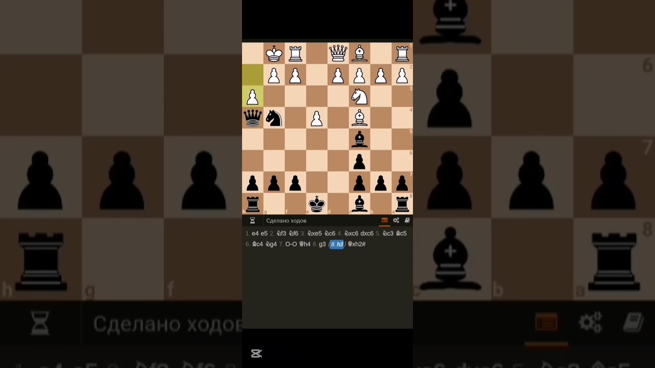 Şahmat /26-ci dərsi (Petrov müdafiəsi). Əlaqə :055 480 22 97