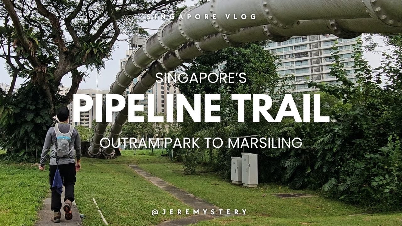 28KM Solo Pipeline Trail Hike | Outram to Marsiling Journey