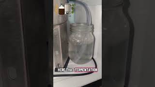 48 hour gravity update on my German Pils #beer #fermentation #science #fyp #homebrew