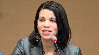 Famous NAACP UN Panel on Voting Rights: Kemba Smith Pradia's Testimony Wealth