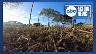 New study warns allergy season is lasting longer due to climate change