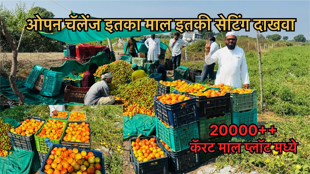 ओपन चॅलेंज इतका माल इतकी सेटिंग बघितली नसेल 💯💯 समृद्धी पॅटर्न धमाका 🫵🫵🫵🫵
