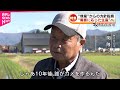 【コメ】"増産"からの方針転換... 政府の政策変更に米農家は 新潟 NNNセレクション
