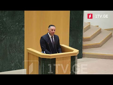 შინაგან საქმეთა მინისტრის მოსმენა პარლამენტში  #მოამბე სპეციალური გამოშვება