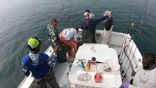 Nantucket Shoals Jumbo Fluke Trip on the EmmaJack 6-23-2020