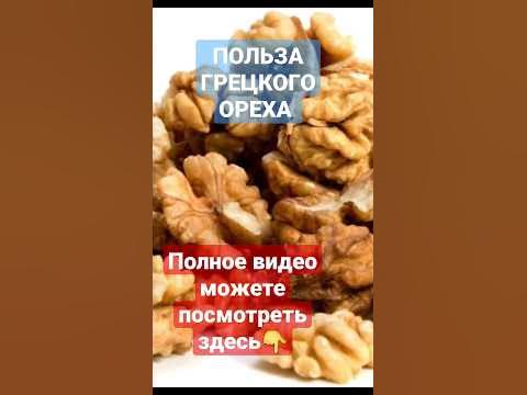 Польза ГРЕЦКОГО ОРЕХА | ГРЕЦКИЕ ОРЕХИ #грецкиеорехи #грецкийорех #орехи ...