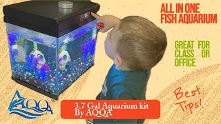 Compact Aquarium That Looks Expensive