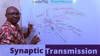 Synaptic Transmission screenshot 1