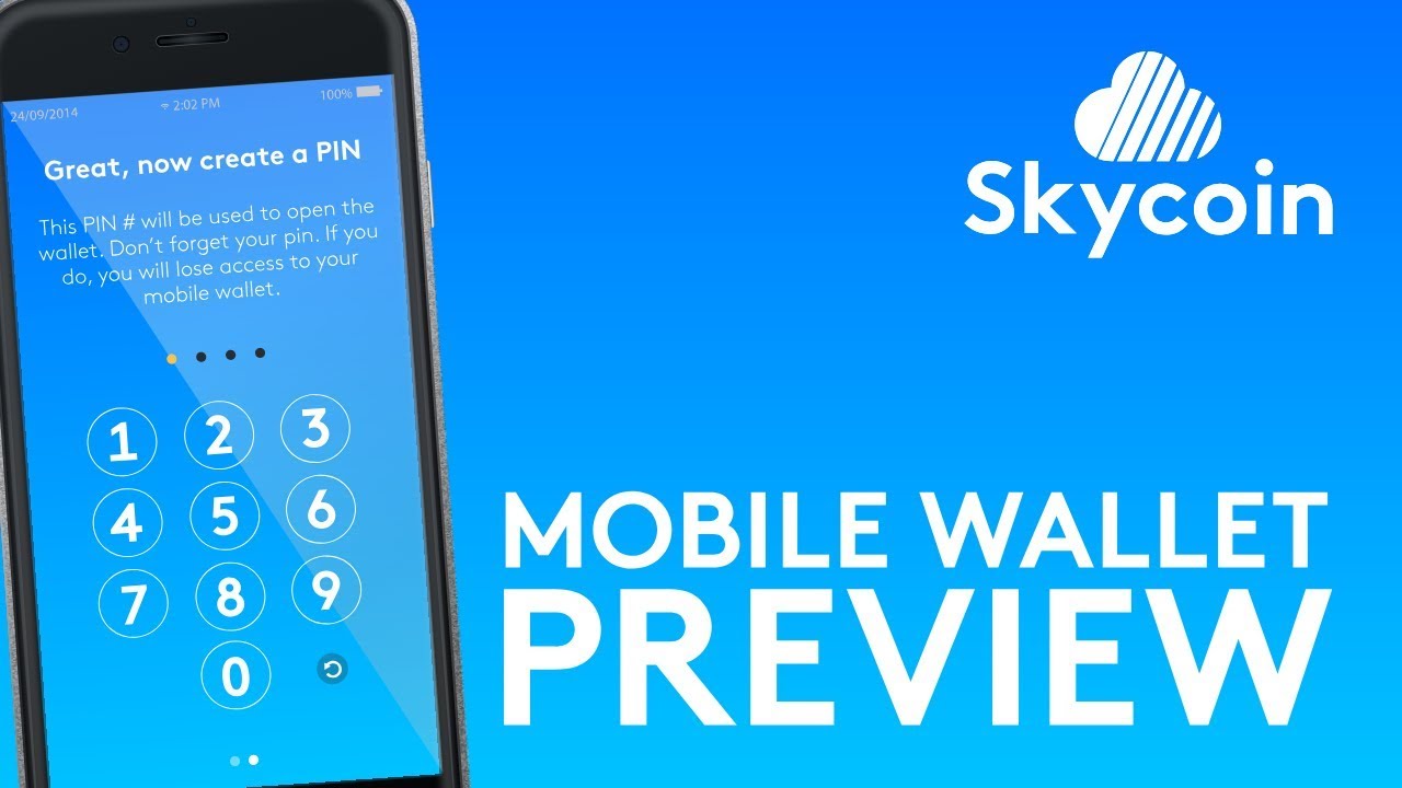 Skycoin Mobile Wallet Preview