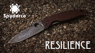 Spyderco Resilience: Лучший складной нож?