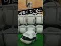 【PuiPuiモルカー】一発で取れたコメントをいただいたのでプレイした結果 #shorts
