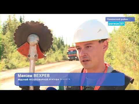 В Карпогорах вырубают мелкие деревья и кустарник
