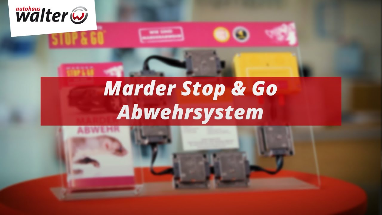 Marder Stop & Go  Das Marder-Abwehrsystem für Ihr Auto gegen Marderbisse 