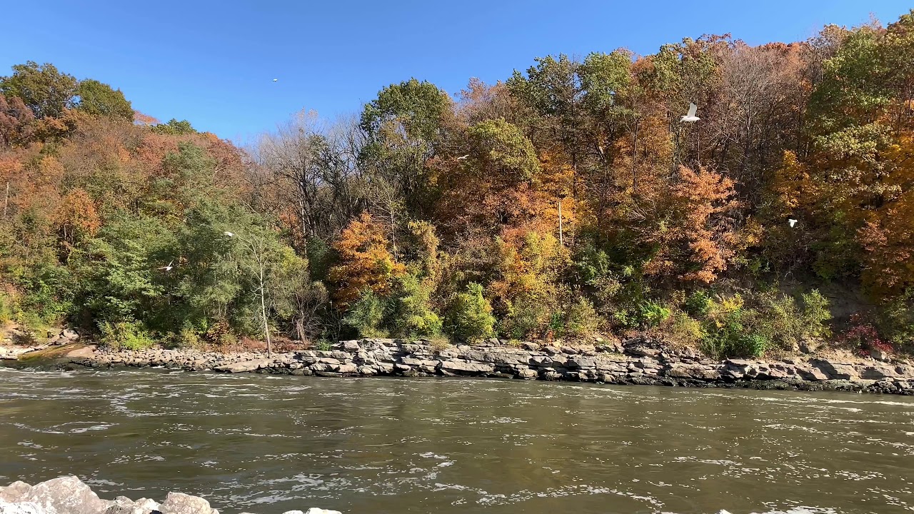 Coralville Dam 2 10/27/2019 YouTube