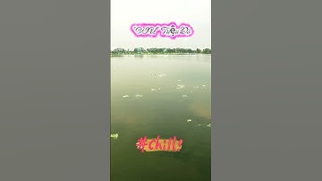 🌅 "VIEW Triệu Đô" Một buổi chiều yên bình bên mặt hồ 13 Mẫu 7 🎣 #Shorts