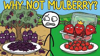 Mulberries Are Free. Why Don't We Eat Them ?