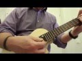 Aquila vs. Worth strings on ukulele