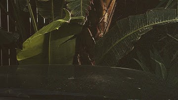 Thumbnail of Für Immer (Mix)