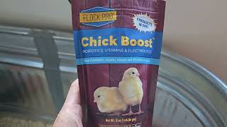 My Thoughts on Chick Boost from Flock PRO