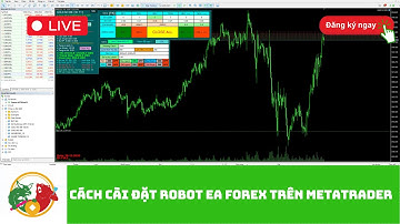 Cách cài đặt Robot EA FOREX trên Metatrader