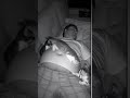 When Cats Attack Your Belly at Night Viral Cat Video |#FunnyCats#CatVideos#catshorts