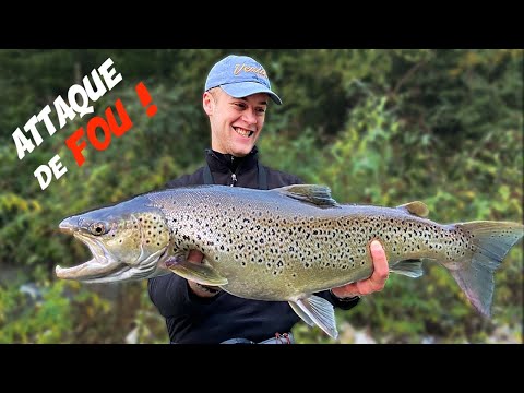 I Caught a MONSTER TROUT in France !
