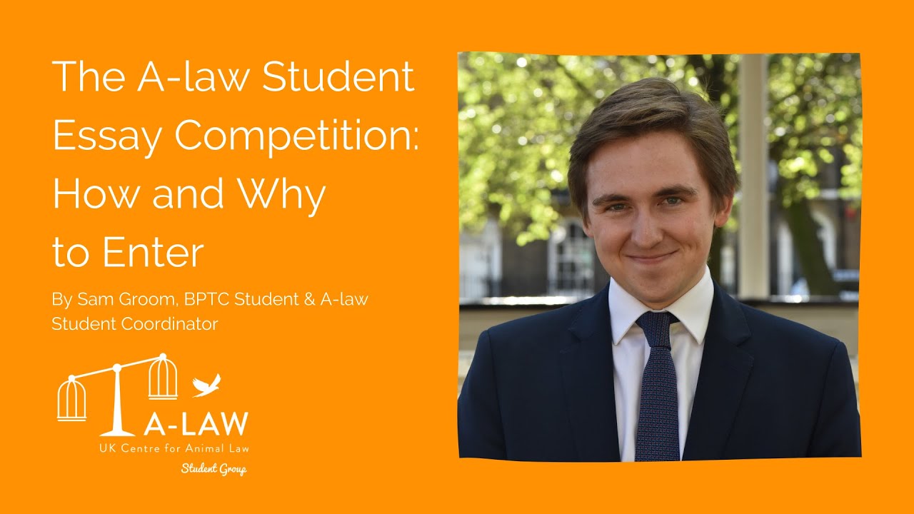Competition law dissertation