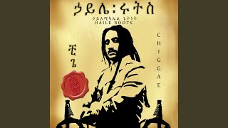 Ethiopia - Haile Roots