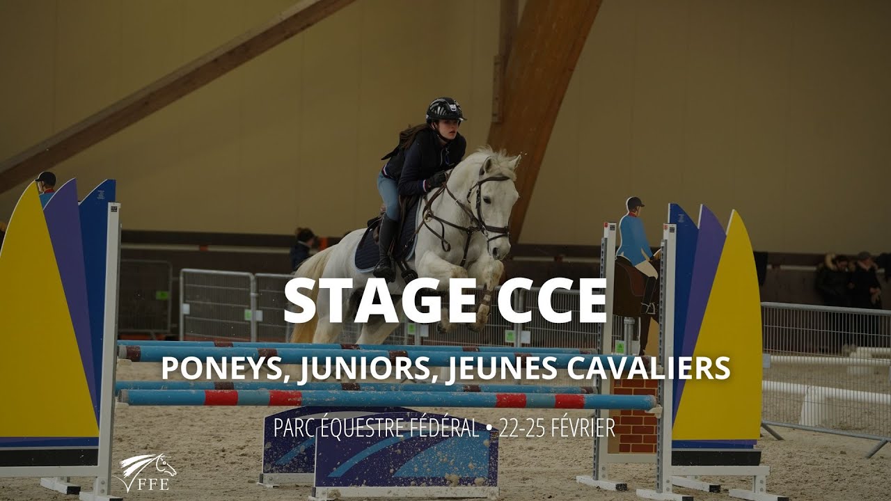 Comment voluer entre les catgories Poneys Juniors et Jeunes Cavaliers    Stage CCE fvrier 2024