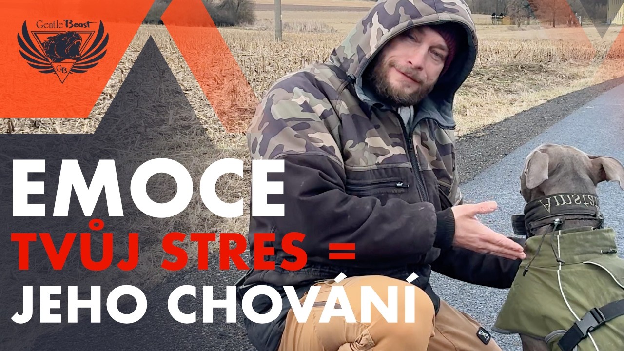 JAK TVOJE EMOCE OVLIVŇUJÍ CHOVÁNÍ PSA?