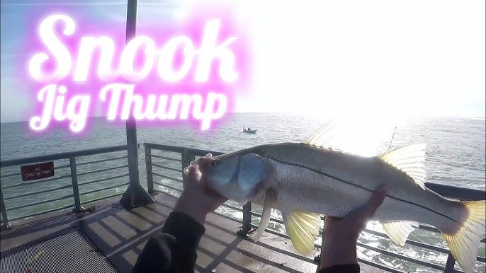 FLAGLER FISHING: Tips to help hook a wily snook as season opens Friday