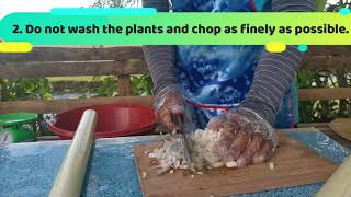 HOW TO MAKE FERMENTED PLANT JUICE by Jaycor Daleja of PTC Apayao