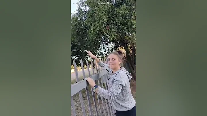 Girl Gets Zapped By Electric Fence! ⚡️