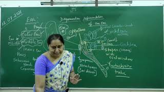 I PUC | BIOLOGY | Neural control and co-ordination - 6