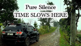 A Place Where Time Slows Down  Cold Mountain Nature Gunung Halimun Bogor