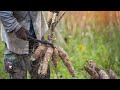 Comment senrichir avec le manioc tout en nourrissant lafrique  ma mthode