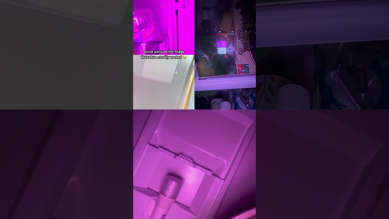 The secret party going on in my fridge