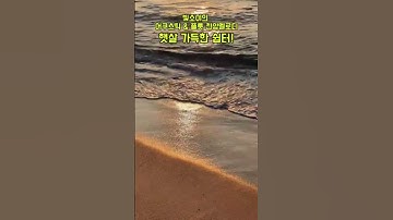 Thumbnail of 카페에서 듣는 은혜의 플룻 선율” | 마음에 스며드는 어쿠스틱 | 힐링#플룻연주 #어쿠스틱뮤직 #은혜로운멜로디 #힐링음악 #카페감성