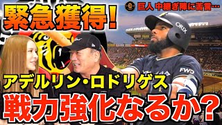 【後半戦への補強‼︎】阪神タイガースがロドリゲス選手獲得と巨人の中継ぎ問題について豊さんが語ります！【プロ野球】
