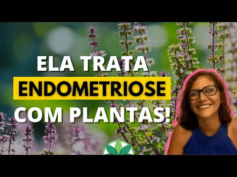 Vídeo: Fazendo chá com plantas de autocura - o chá de autocura é bom para você