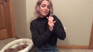 Tequila - Dan + Shay (ASL)