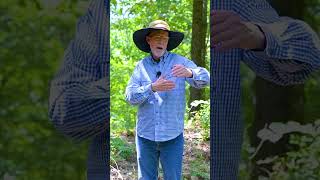 Where Should You Aim With A Bow?