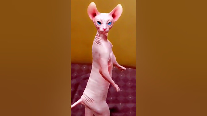 dancing cat🐱funny dance #shorts ytshorts #viralshorts