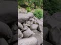 Das Felsenmeer