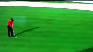 Tiger woods 2011 putting glitch