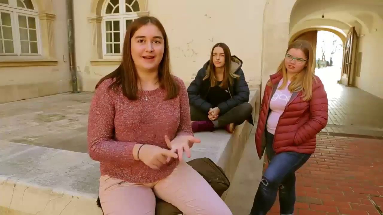 Unfinished Simphony, documentary film by Olivera Milos Todorovic